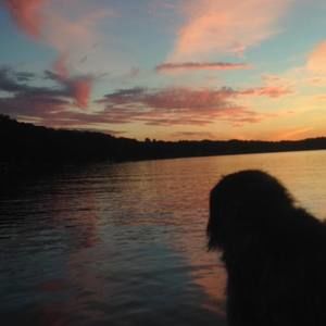 Meet your Posher, Scott